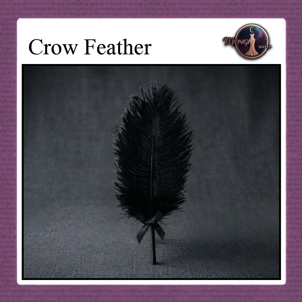 Pekalongan Midnight Tickler Stick - Black Crow Feather - Aksesoris BDSM