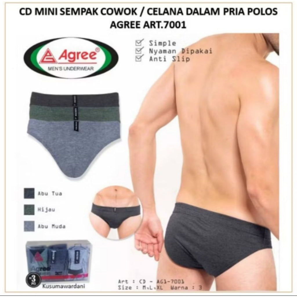 Pekanbaru celana dalam pria agree cd 1-7001