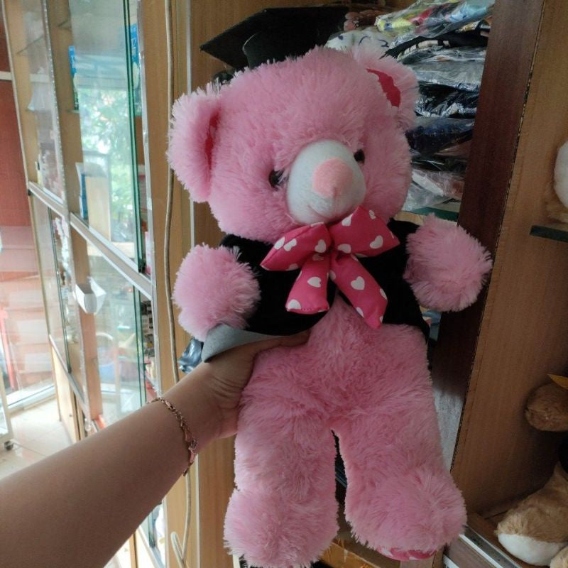 Pekanbaru (Promo!!) Boneka Wisuda Murah /Boneka Wisuda/Boneka Lucu