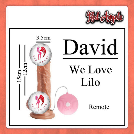 Pekalongan Red Angels Alat bantu Getar Wanita Dildo Vibrator David And Nick
