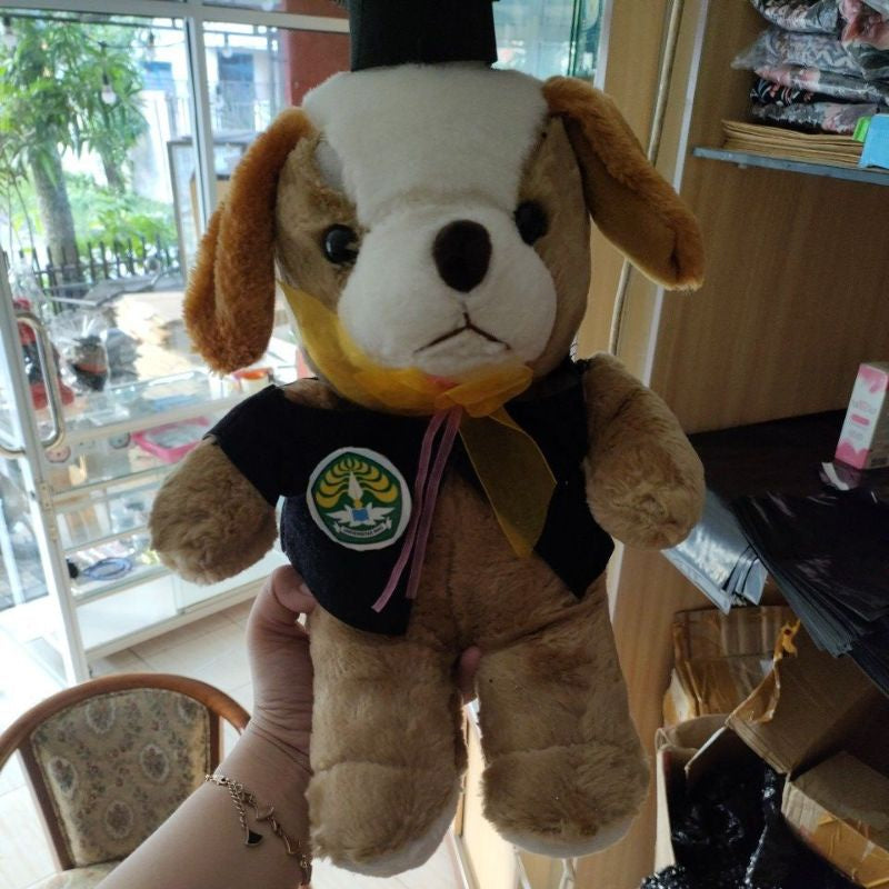 Pekanbaru (Promo!!) Boneka Wisuda Murah /Boneka Wisuda/Boneka Lucu