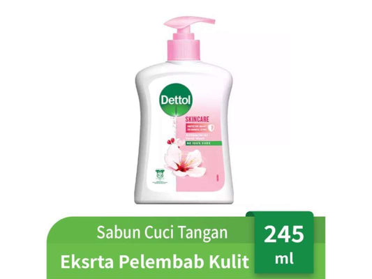 Pekanbaru Dettol Hand Wash Skin Care 245Ml Btl