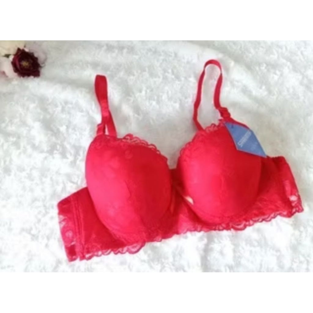 Pekanbaru Bra Import Ukuran Besar Saraswarsa