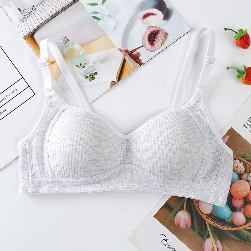 Pekanbaru Brasay Bra Push Up Tanpa Kawat Style Pakaian Dalam Wanita