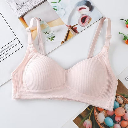 Pekanbaru Brasay Bra Push Up Tanpa Kawat Style Pakaian Dalam Wanita