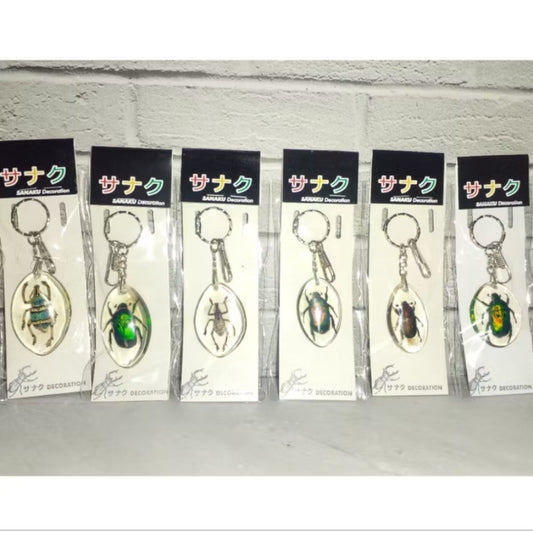 Pekanbaru Gantungan Kunci Serangga Indonesia Resin Homemade / Souvenir Gantungan Kunci Rumah/Kantor (kemas plastik )