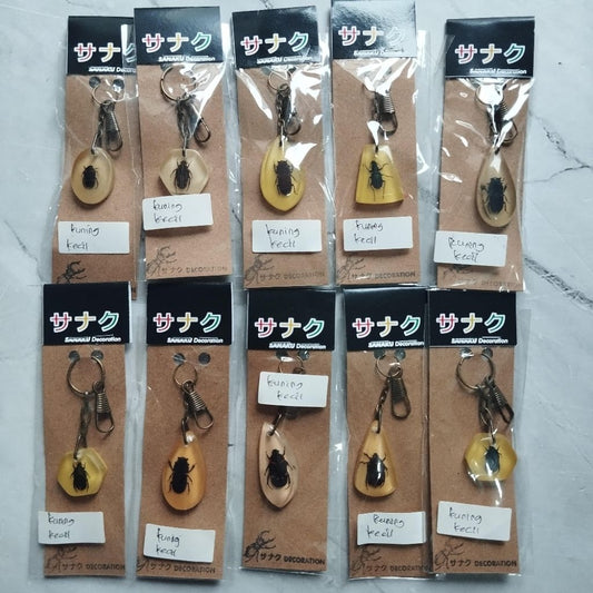 Pekanbaru Gantungan Kunci Serangga Indonesia Resin Homemade / Souvenir Gantungan Kunci Rumah/Kantor (kemas plastik )