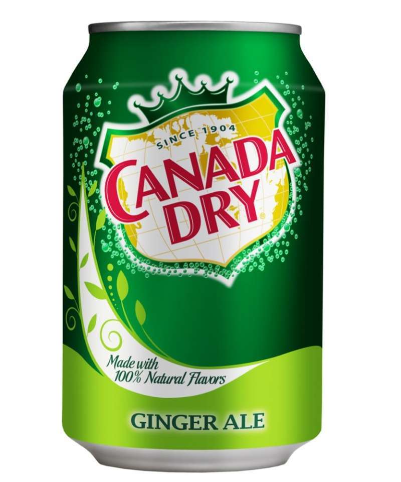 Pekanbaru Canada Dry Ginger Ale Import 12Oz Can