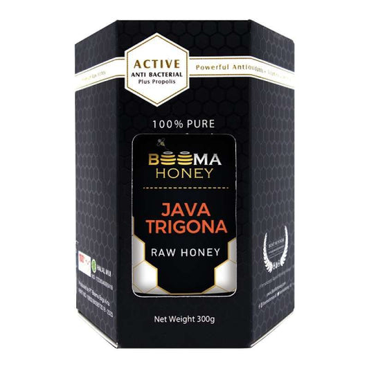 Pekanbaru Beema Honey Java Trigona 300G