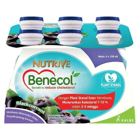 Pekanbaru Nutrive Benecol Blckcrrnt Btl 6X100Ml