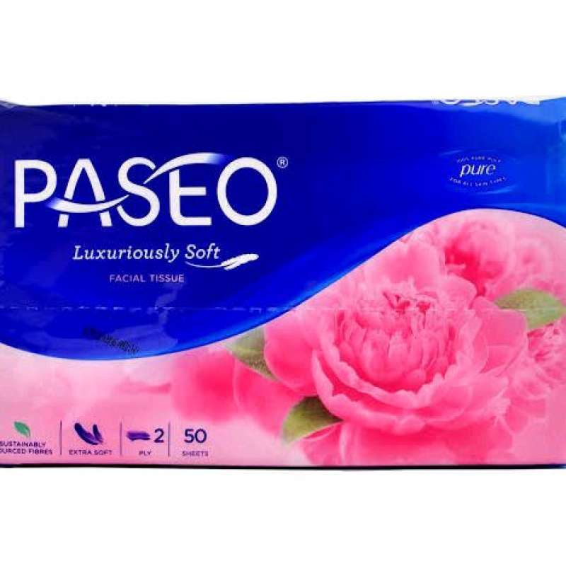 Pekanbaru Paseo Travel Pack Elegant 50S Pak