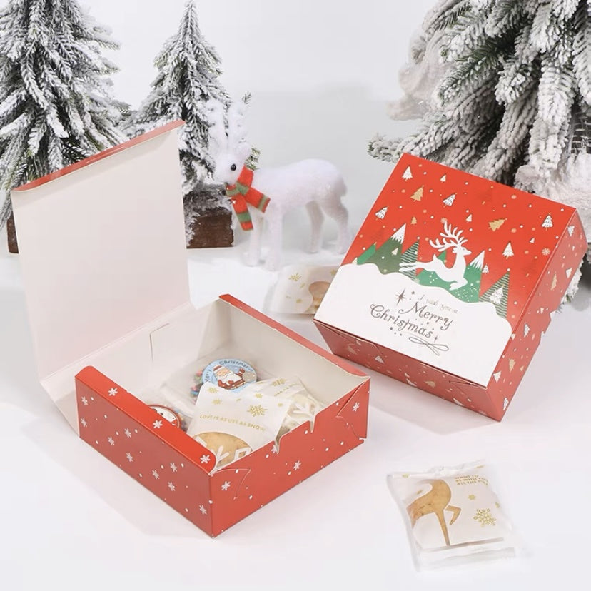 Pekanbaru Christmas Cake Box / Kotak Kue Natal Persegi