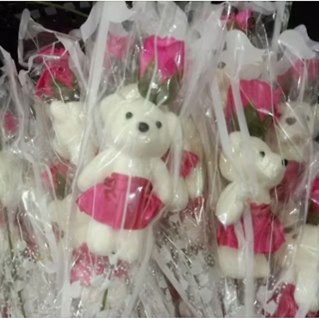 Pekanbaru Bunga Teddy Setangkai / Bunga Valentine / Bunga Mawar Teddy / Bunga Hari Guru