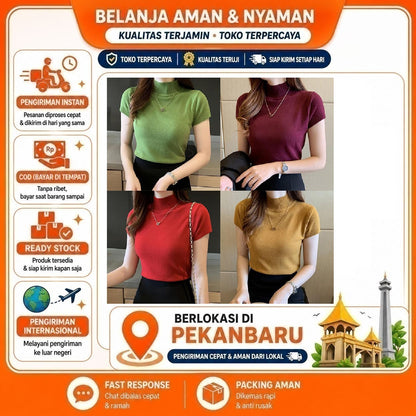 Pekanbaru Baju Model Turtleneck Kaos Lengan Pendek Carenina Baju RIB Garis-Garis (LD 80, P 40)