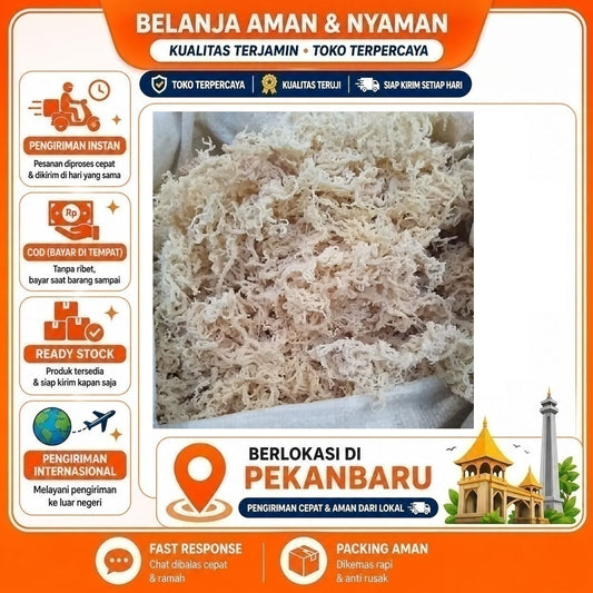 Pekanbaru 500 Gram Rumput Laut Super Kering Putih White Dried Seaweed Bahan Makanan Masakan